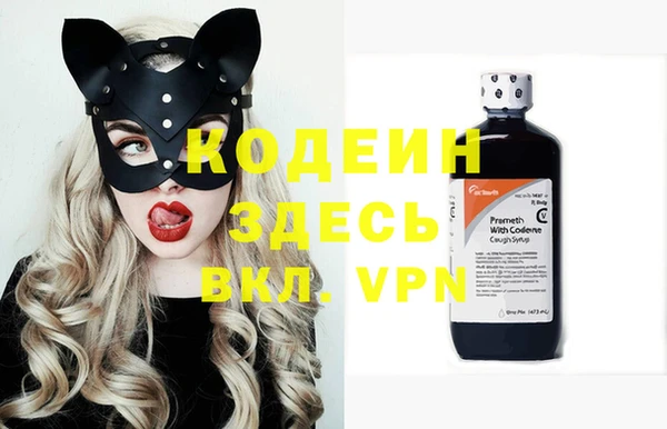 дживик Осинники