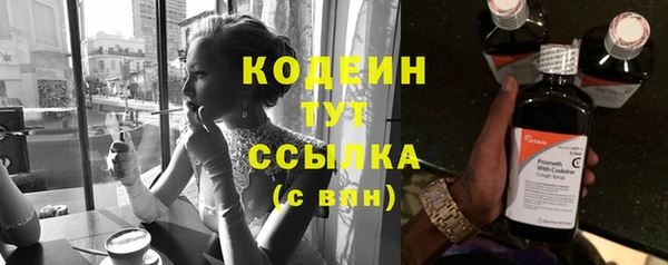 дживик Осинники