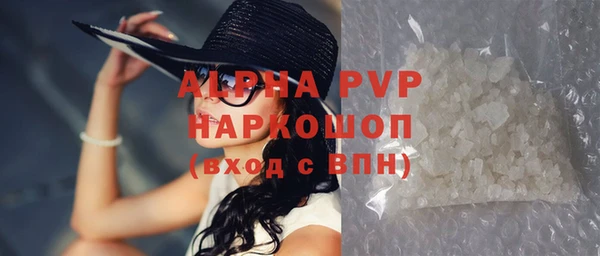 дживик Осинники