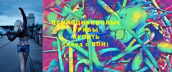 прущие крисы Осташков