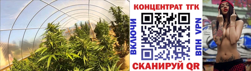 ТГК вейп  Шарыпово 